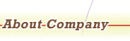 About Company